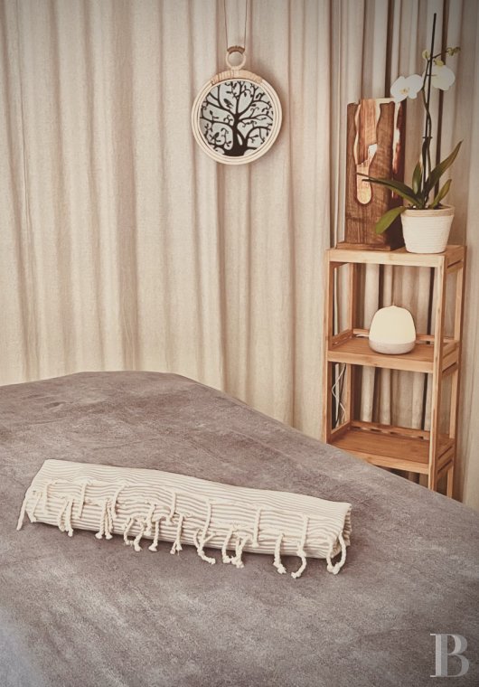 Au cœur de Sarlat, en Dordogne, une maison des années 20 entourée d’un grand parc - photo  n°20